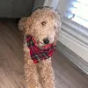 Emily Bythe - @emilyy.bly - TikTok