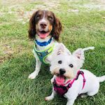 Bobby & Emily - @emily_bobby_ - Instagram
