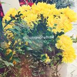 Emily Bobo - @photography.bobo - Instagram