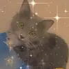 Emily Bodiford - @emily.bodiford - TikTok
