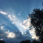 EMILY BOGARDUS - @emilybogardusphotography - Instagram