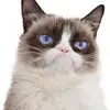 emilybogle_ - @emilybogle_ - TikTok