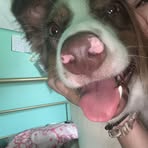 Emily Bohn - Facebook