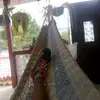 @emilybolaños1234 - @emilybolanos23 - TikTok