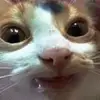 emilyboll - @emilyboll0 - TikTok