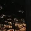 emilybos - @emilybos53 - TikTok