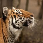 Emily Boss - @emilyjboss - Instagram