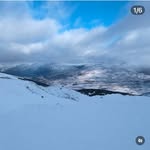 Berkley - @emily__boyes9 - Instagram