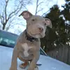Emily Bozzi - @emily.bozzi - TikTok