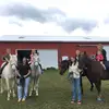 Emily Brace - @emily.brace6 - TikTok