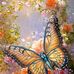 Emily Braddock - Facebook