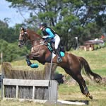 Emily Bremner - @em.b_eventing - Instagram