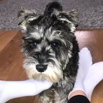 Emily Brent - @emilybrent10 - Instagram