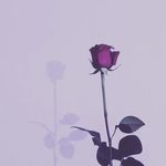 Emily Brett - @itzz.me53 - Instagram