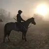 Emily Brick - @emily.brick7 - TikTok