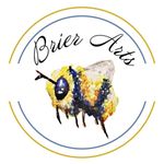 Emily Brier - @brierarts - Instagram
