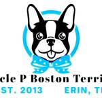 Emily Brigham Parker - @circlepbt - Instagram