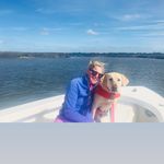 Nellie (and Emily) Brill - @nelliethelabradorpup - Instagram