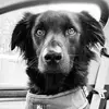 emily_brinker - @emily_brinker1 - TikTok
