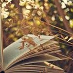 Emily Rae Brough - @emilyraebrough - Instagram
