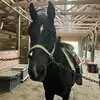 Emily Burd - @emily.burd - TikTok