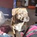 Emily Burzynski - Facebook