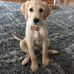 Emily Busch - Facebook