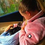Emily Busch - @e._pdm - Instagram