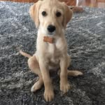 Emily Busch - @emilyy_busch - Instagram