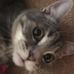 Emily Buse - Facebook