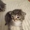 Emily Byrum - @emily.byrum - TikTok
