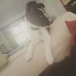 emily_cadle2233 - @emily_cadle2244 - Instagram