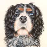 Emily - @emilycadleart - Instagram