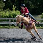 Emily Calvert - @em.riding - Instagram