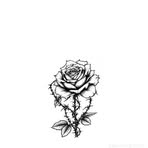 Emily Carson - Facebook