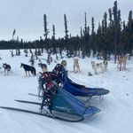 Emily Cheney - @alaska_adventures22 - Instagram