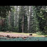Emily Clapp - @emilys_feels - Instagram