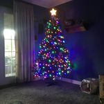 Emily Clapp - @clappemily21 - Instagram