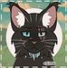 Emily Cloud - Facebook