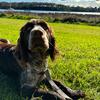 Emily_Cockerill - @emily_r_c08 - TikTok