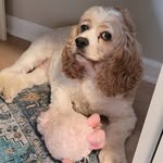 Emily Cofer-Mauldin - @e_cofer - Instagram
