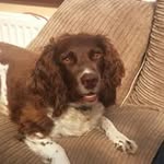 Emily Coffee Broadbent - @emilycoffeebroadbent - Instagram
