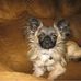 Emily Coll - Facebook