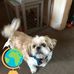 Emily Coll - Facebook
