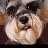 Emily Collier - @emilycoll_ - TikTok