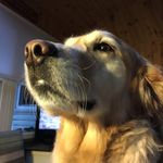 Emily Comstock - @emmycomstock416 - Instagram
