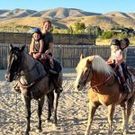 Emily Comstock Adamson - @ebcomstock - Instagram