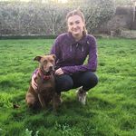 Emily Coombe - @emilycoombe_dog_training - Instagram