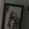 Emily Coombes🦋 - @emily_coombes - TikTok