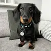 Emily Corder - @emilycorderrr - TikTok